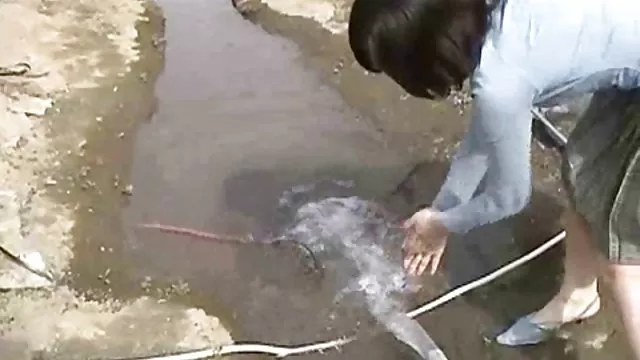 دعارة أي تسجيل أريس سكس سعودي وخليجي بين Esikava الجنس ولعب اطفال